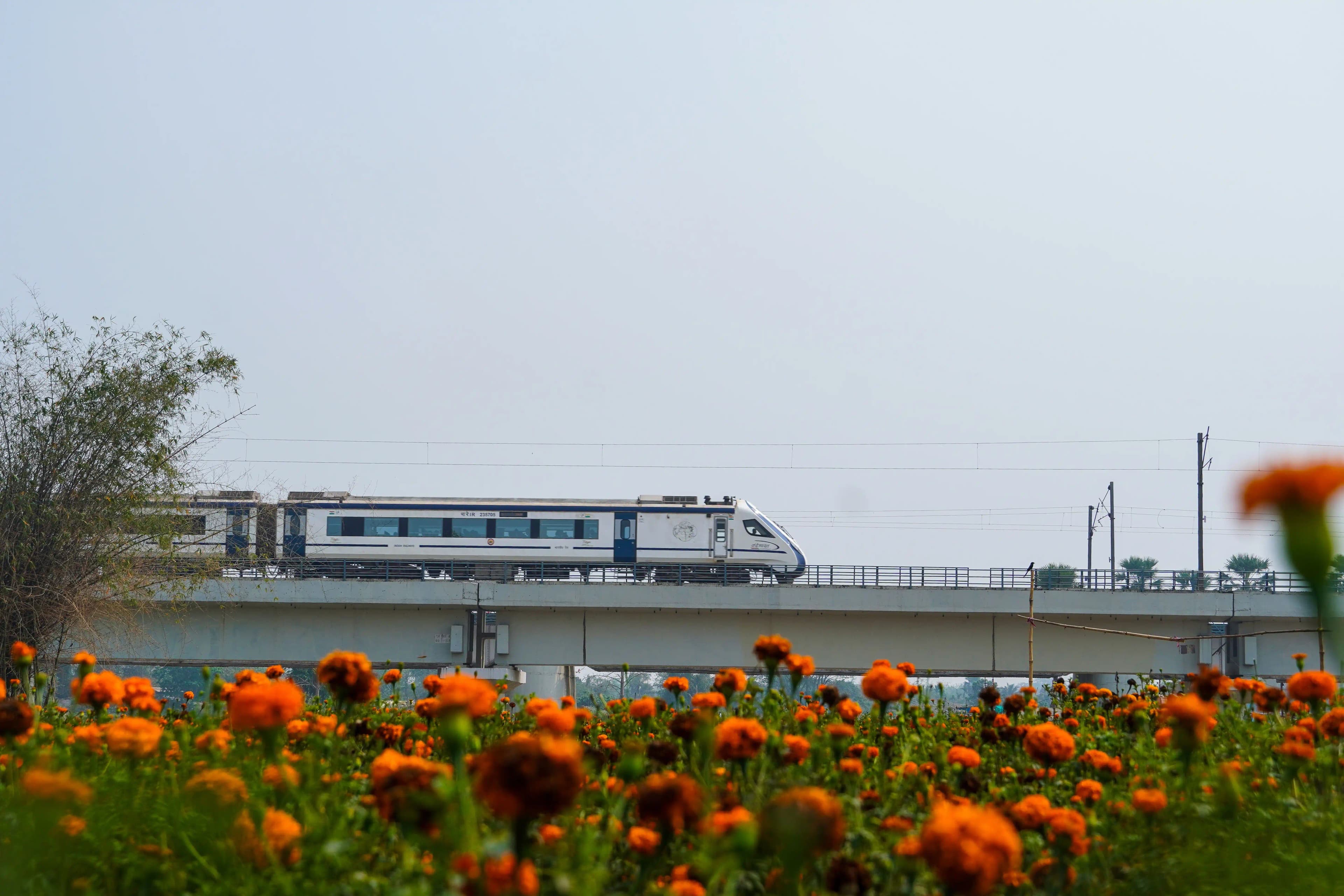 Transport Services
